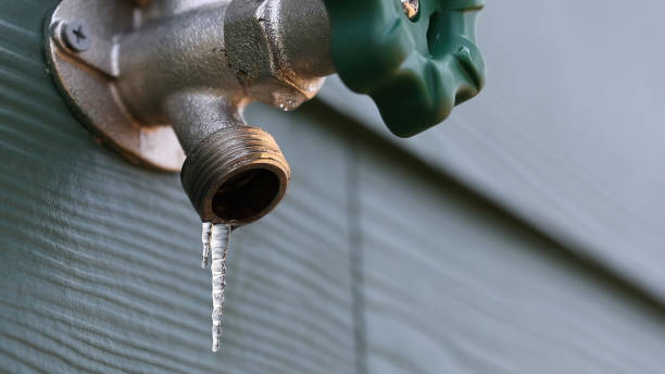 Best Shower Repair Services  in Simpsonville, KY